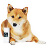 Dry Shampoo for Cats and Dogs, Natural