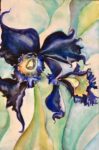 Garden Iris Orchid 1 Watercolor on Canvas