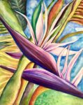 White Bird of Paradise 1 Watercolor on Canvas