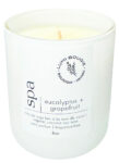 Eucalyptus & Grapefruit Coconut Wax Candle